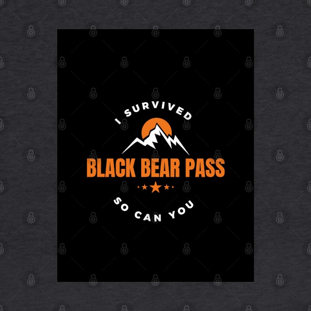 I survived Black Bear Pass by Travis's Design 